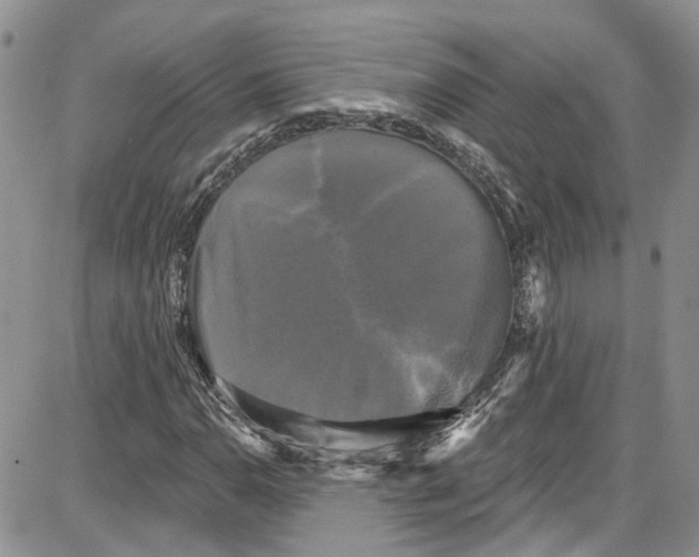 X0000087631110200705311322