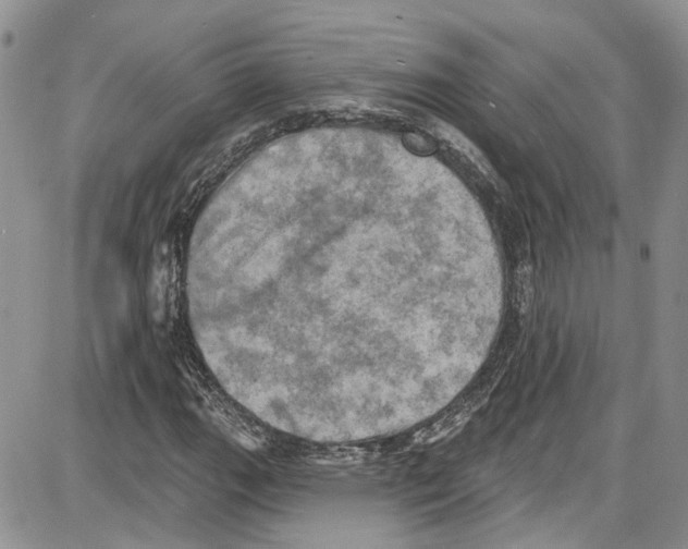 X0000087631111200705311322