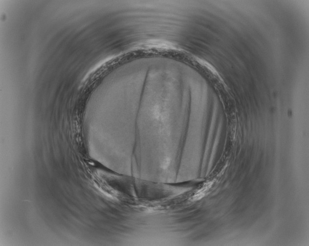 X0000087631112200705311322