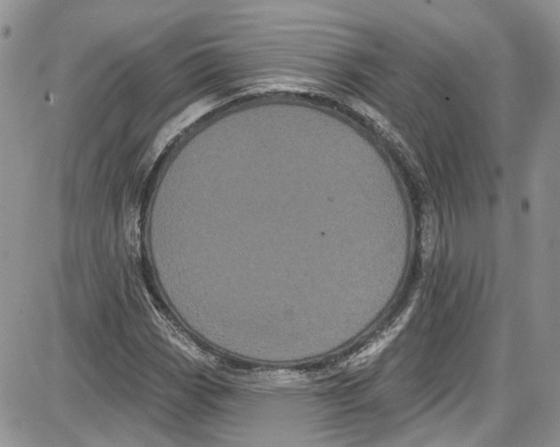 X0000087631113200705311322