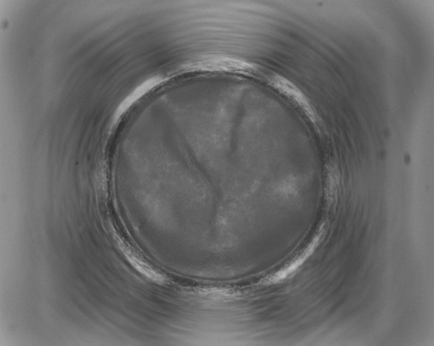 X0000087631114200705311322