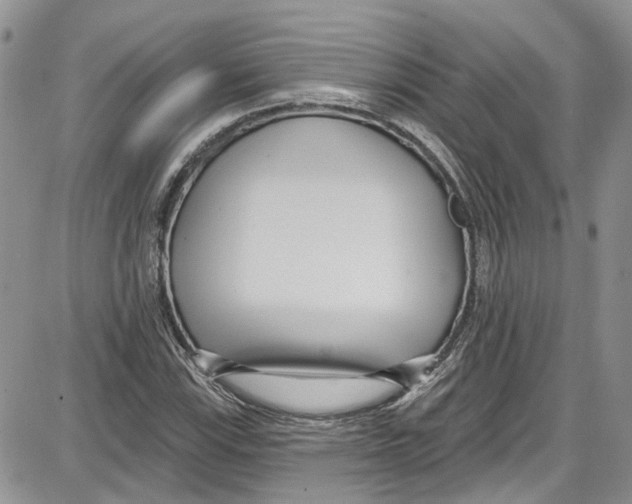 X0000087631115200705311322