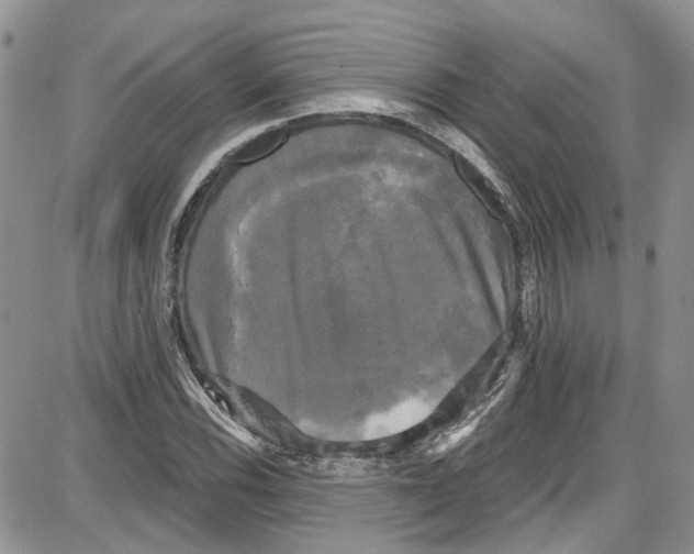 X0000087631116200705311322