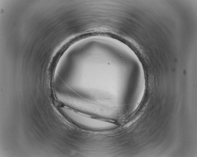 X0000087631118200705311322