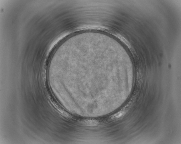 X0000087631119200705311322