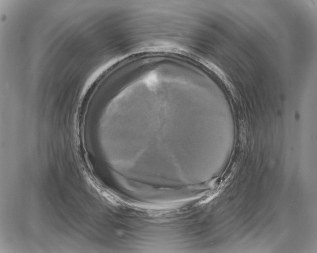 X0000087631120200705311322