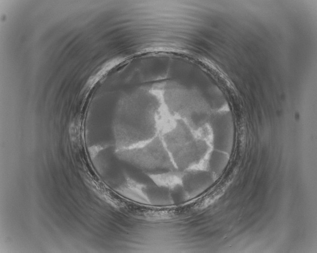 X0000087631121200705311322