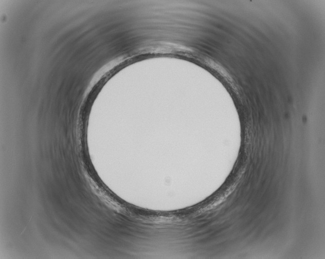 X0000087631122200705311322