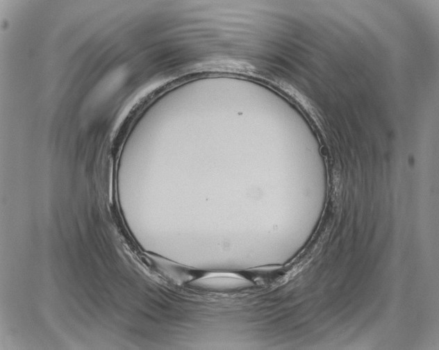 X0000087631123200705311322