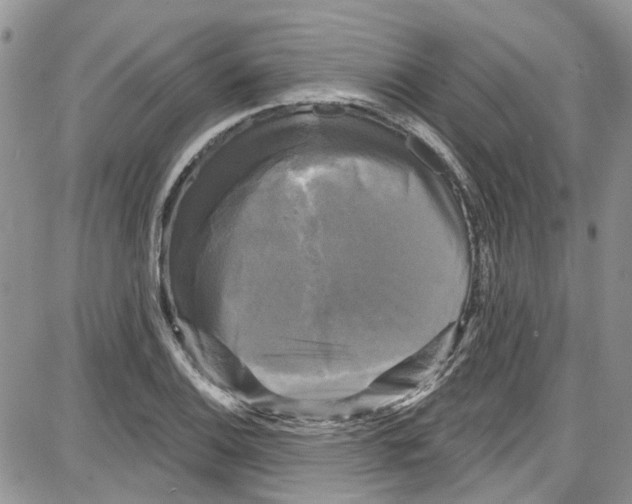 X0000087631124200705311322