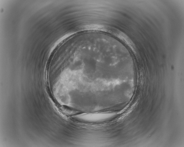 X0000087631125200705311322