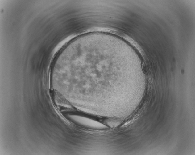 X0000087631127200705311322