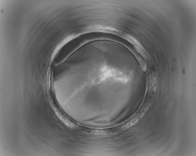 X0000087631128200705311322