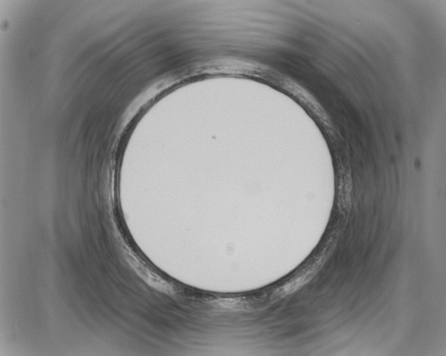 X0000087631130200705311322