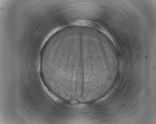 X0000087631131200705311322