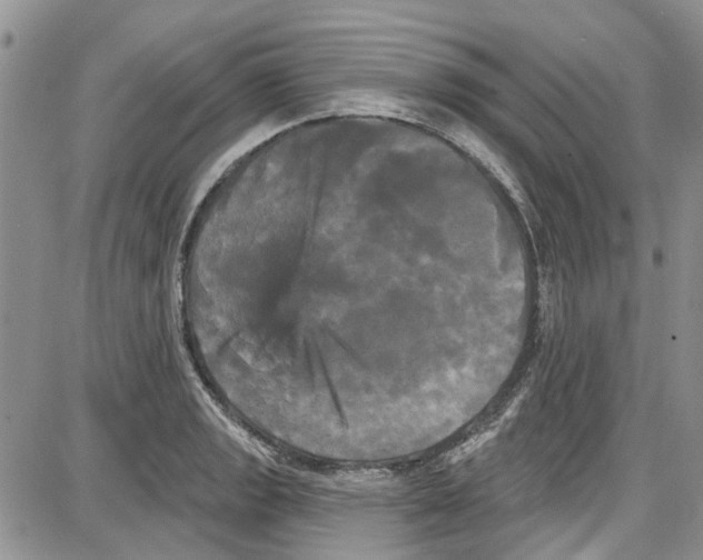 X0000087631133200705311322