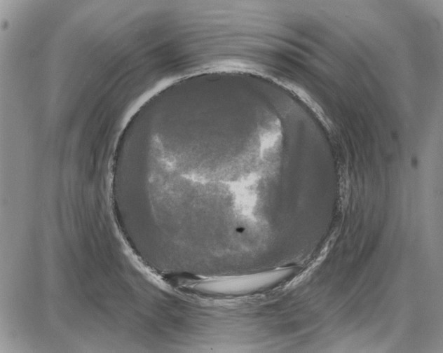 X0000087631134200705311322