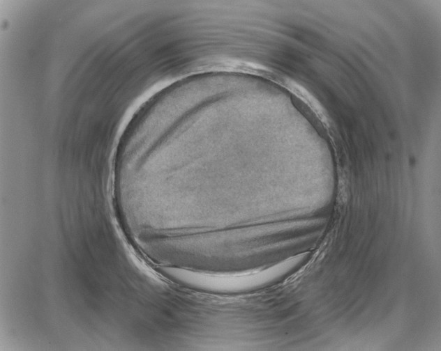 X0000087631136200705311322