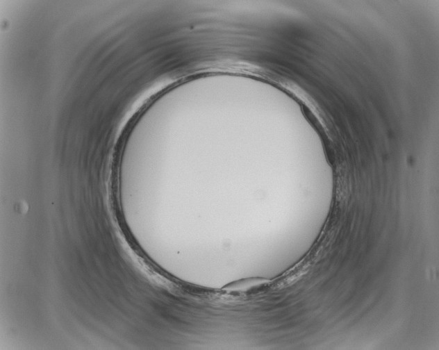 X0000087631139200705311322