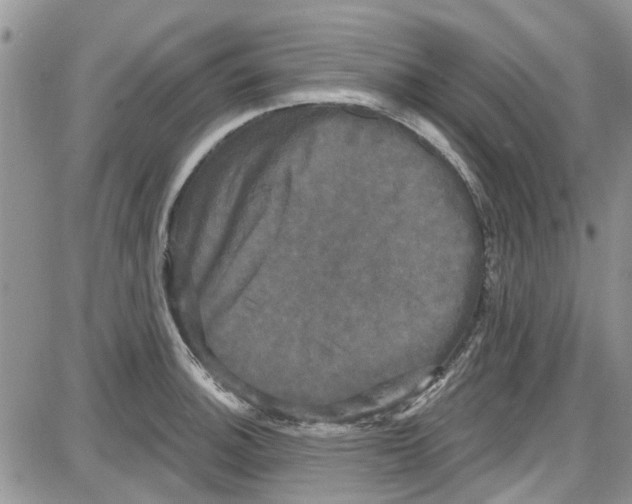 X0000087631140200705311322