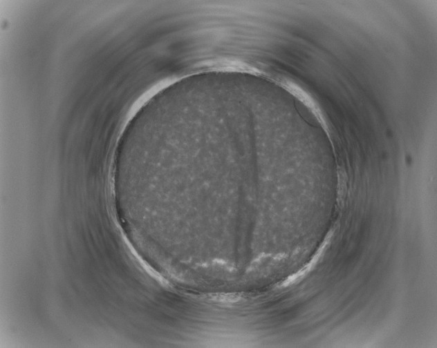 X0000087631141200705311322