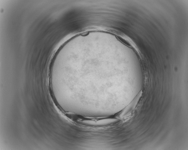 X0000087631143200705311322