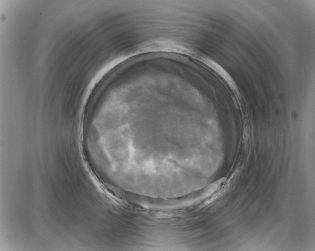 X0000087631144200705311322