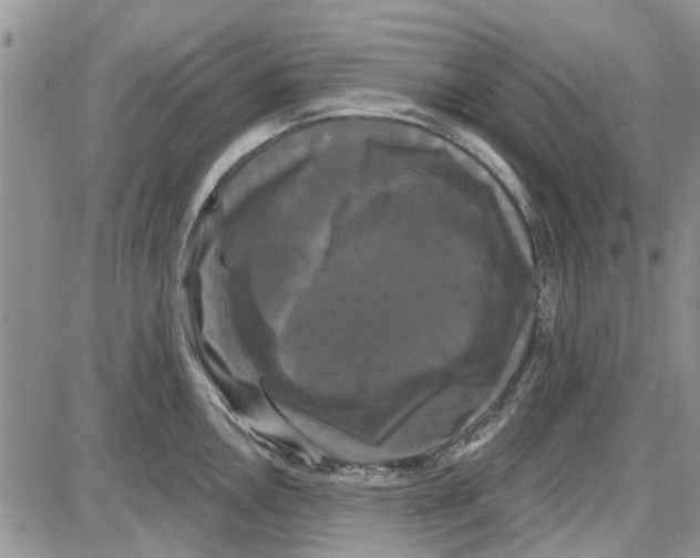 X0000087631146200705311322