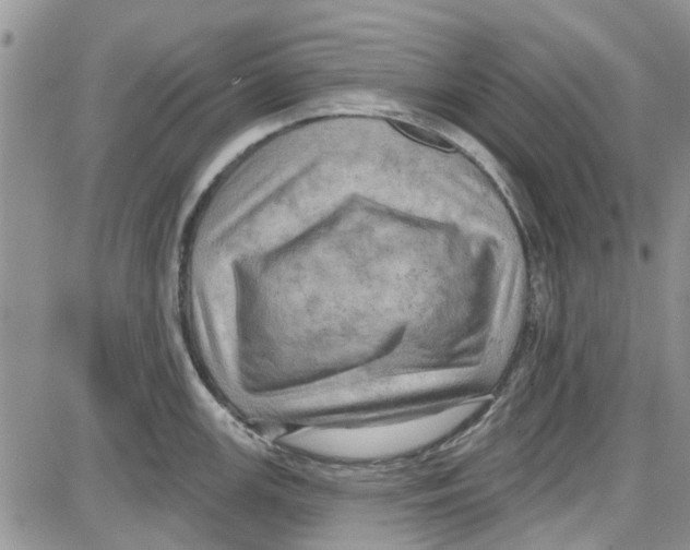 X0000087631147200705311322