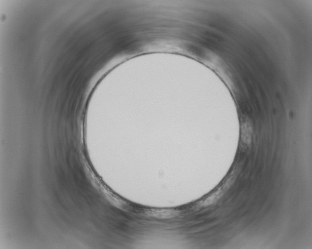 X0000087631150200705311322