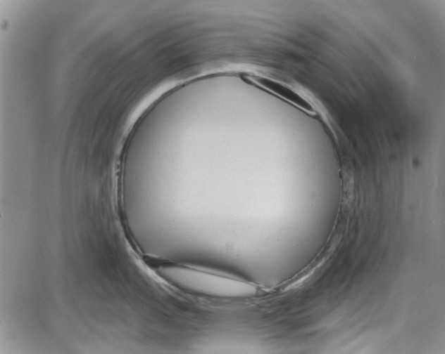 X0000087631151200705311322