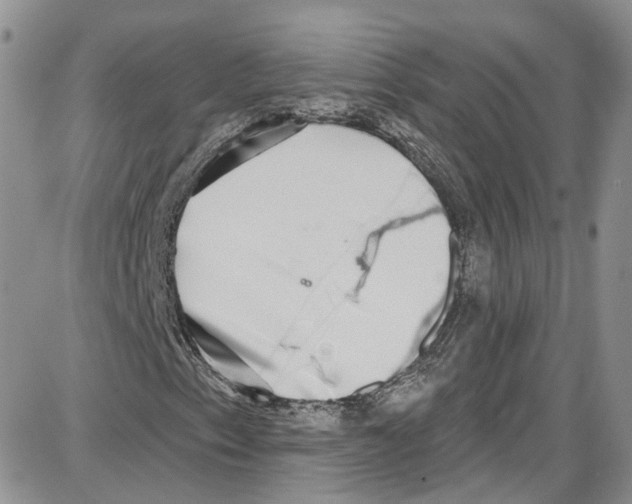 X0000087631153200705311321