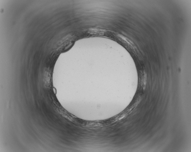 X0000087631154200705311321