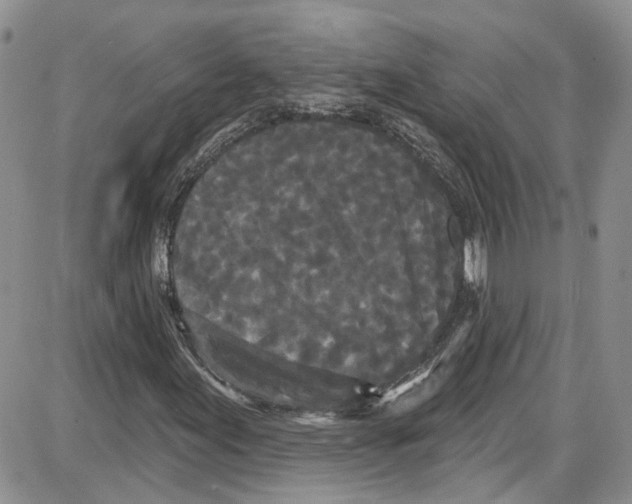 X0000087631155200705311321