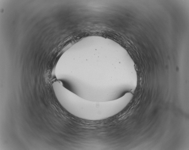 X0000087631156200705311321