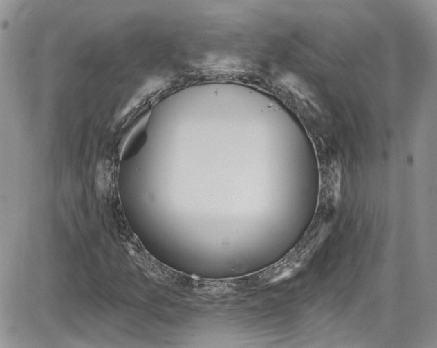 X0000087631157200705311321