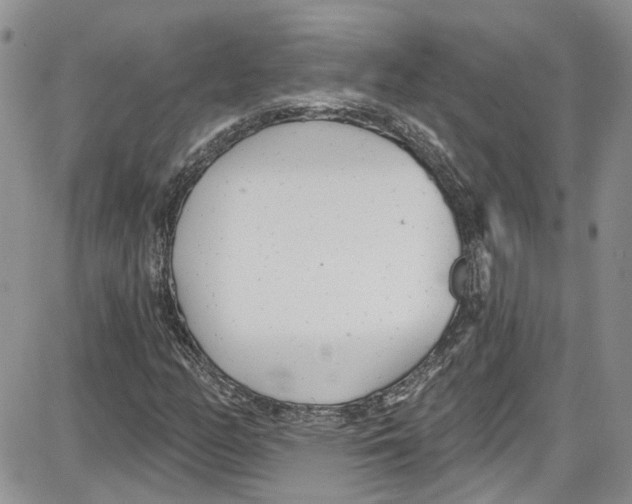 X0000087631158200705311321