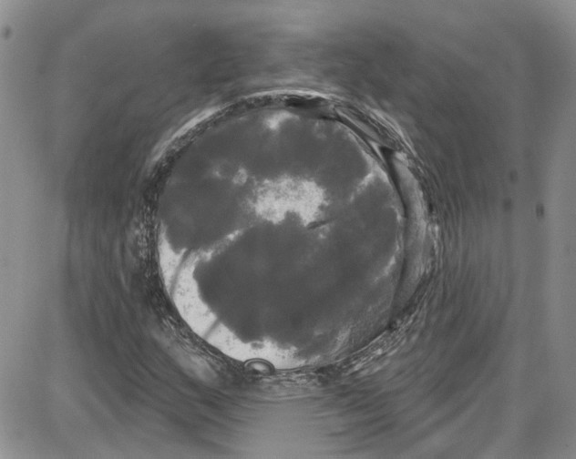 X0000087631159200705311321