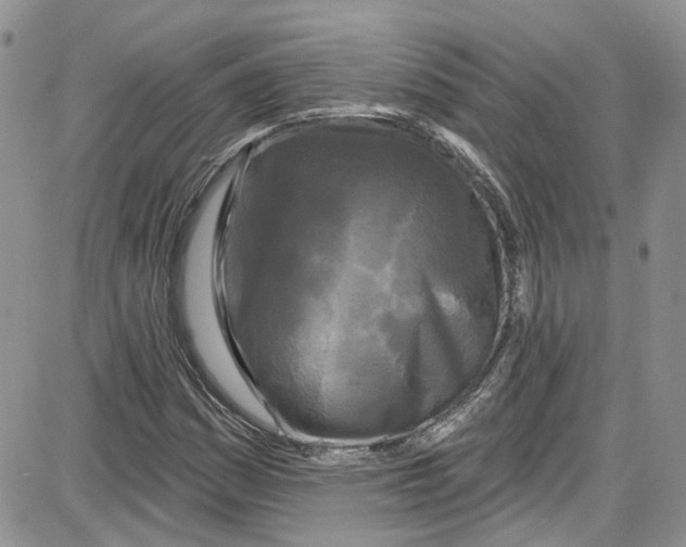 X0000087631161200705311321