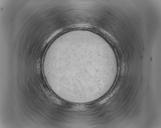 X0000087631162200705311321