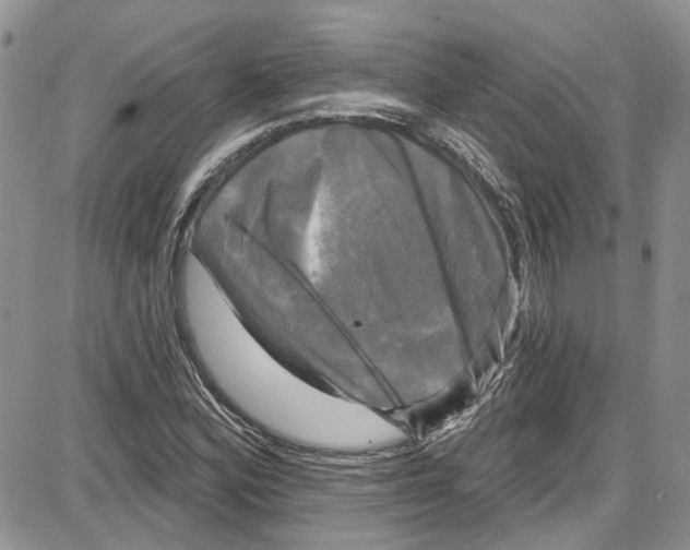 X0000087631164200705311321