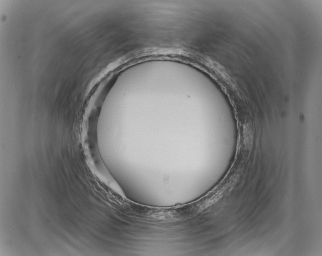 X0000087631165200705311321