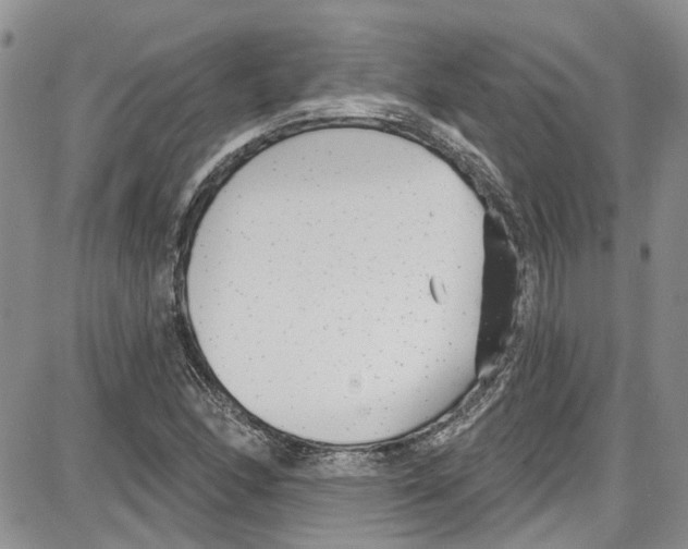 X0000087631166200705311321