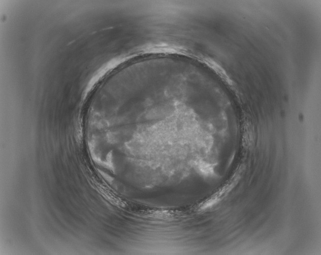 X0000087631167200705311321