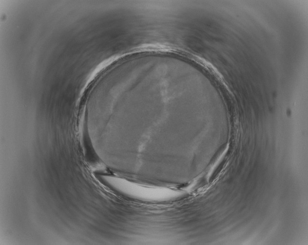 X0000087631168200705311321