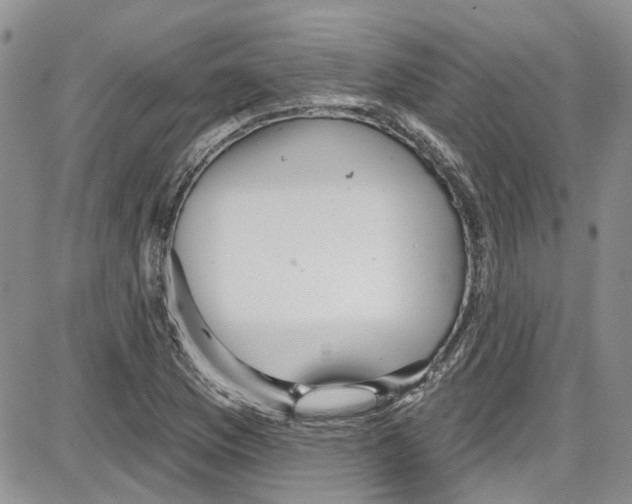 X0000087631169200705311321