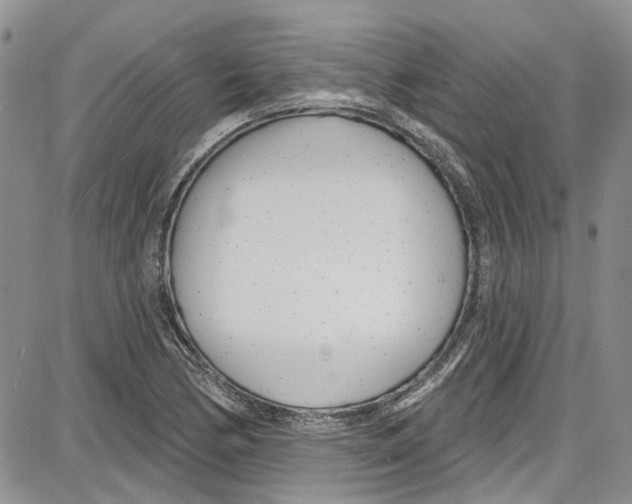 X0000087631170200705311321