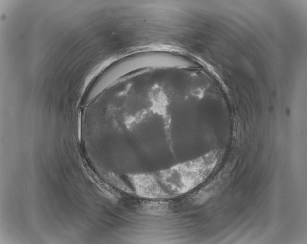 X0000087631171200705311321