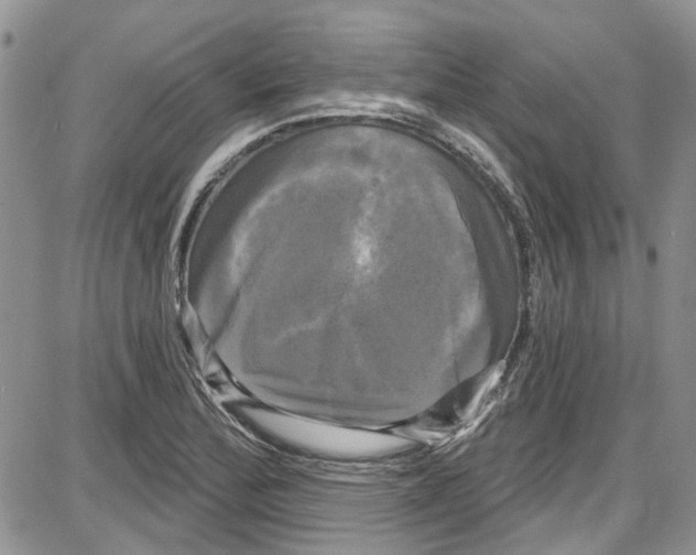 X0000087631172200705311321