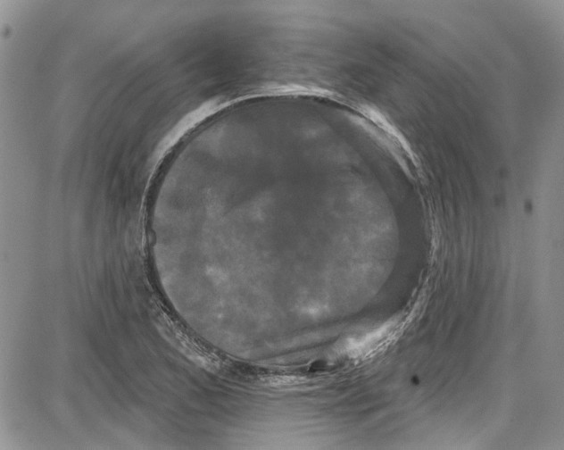 X0000087631173200705311321